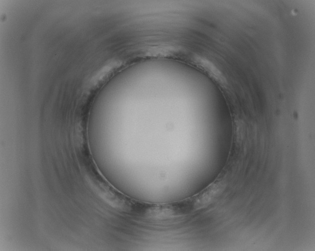 X0000074310354200609081948