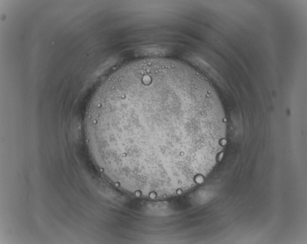 X0000074310355200609081948