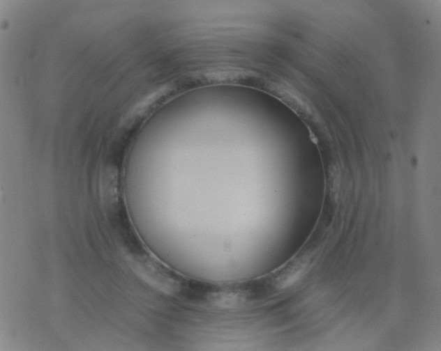 X0000074310356200609081948