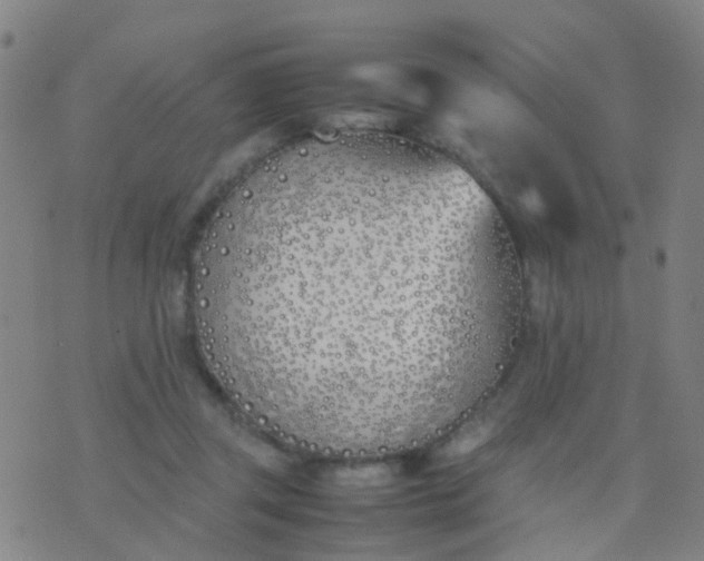 X0000074310357200609081948