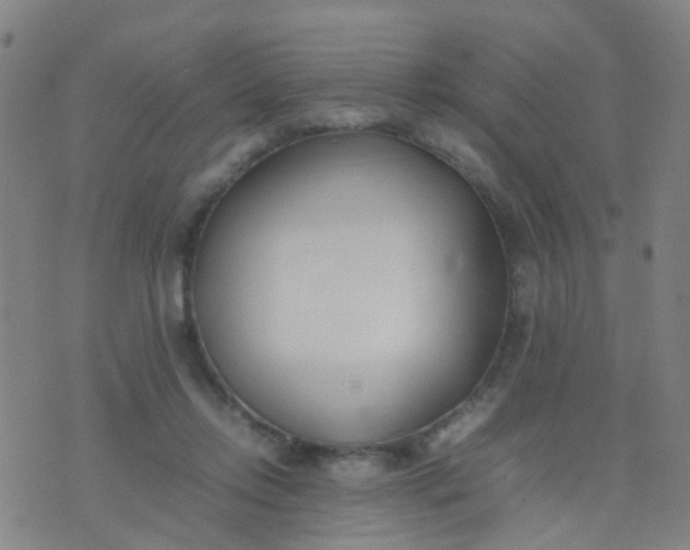 X0000074310358200609081948