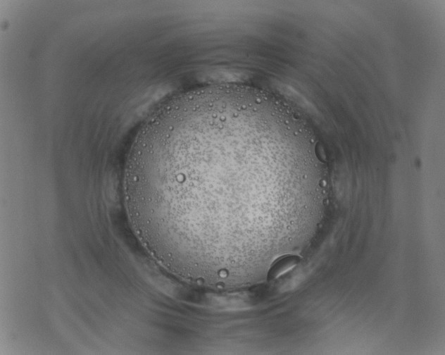 X0000074310359200609081948