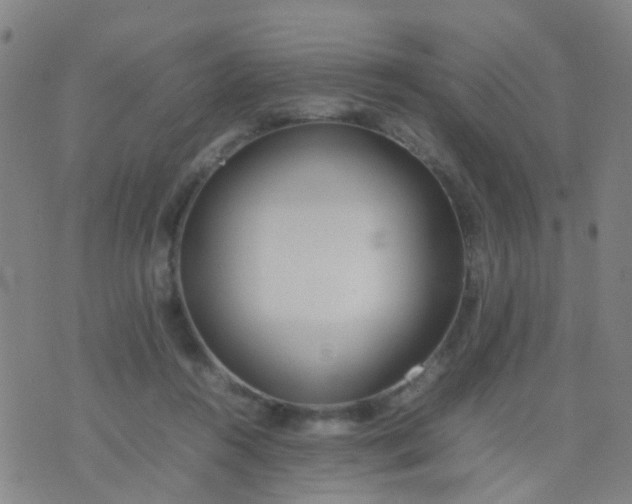 X0000074310360200609081948