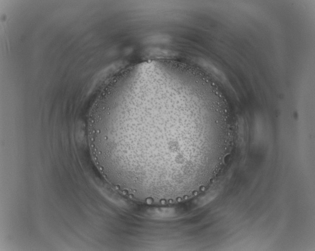 X0000074310361200609081948