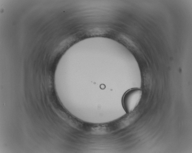 X0000074310362200609081948