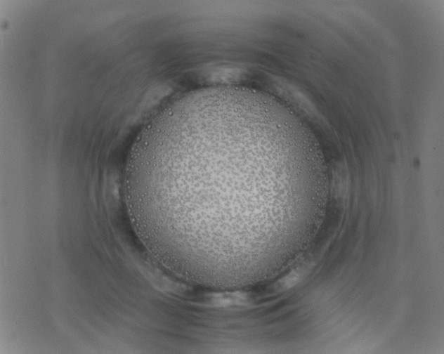 X0000074310363200609081948