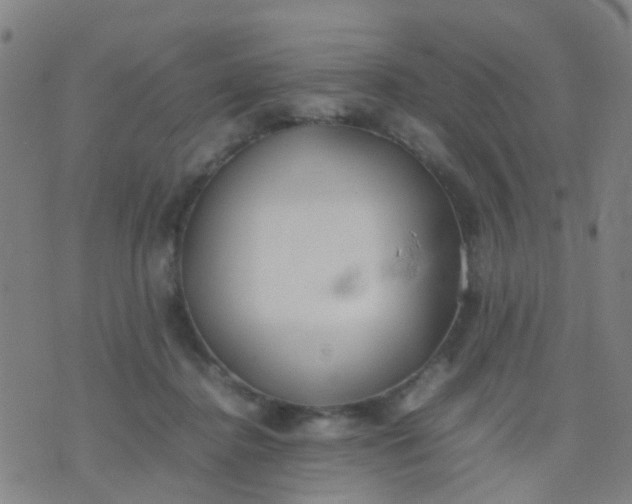 X0000074310364200609081948