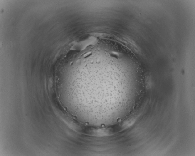 X0000074310365200609081948