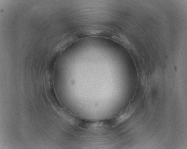 X0000074310366200609081948