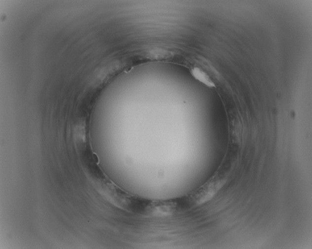 X0000074310368200609081948