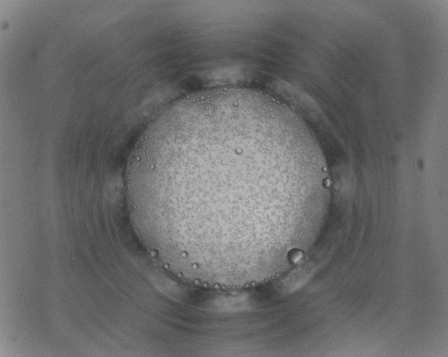 X0000074310369200609081948