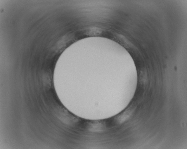 X0000074310370200609081948