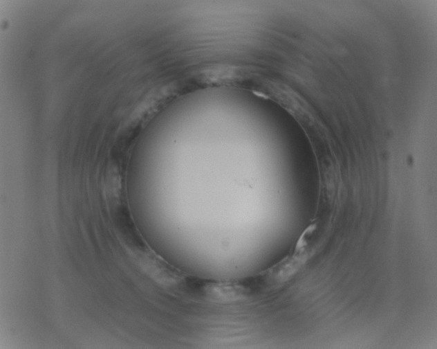 X0000074310372200609081948