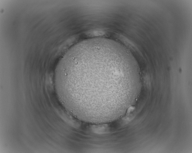 X0000074310373200609081948