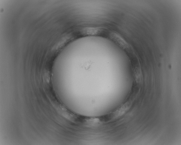 X0000074310374200609081948