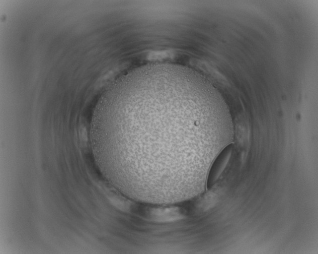 X0000074310375200609081948