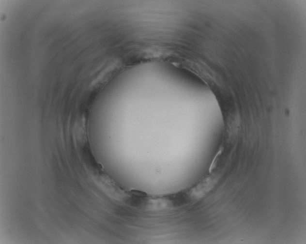 X0000074310376200609081948