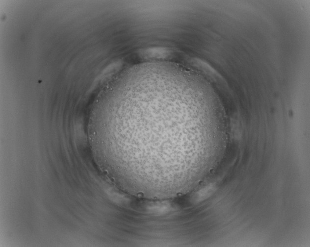 X0000074310377200609081948