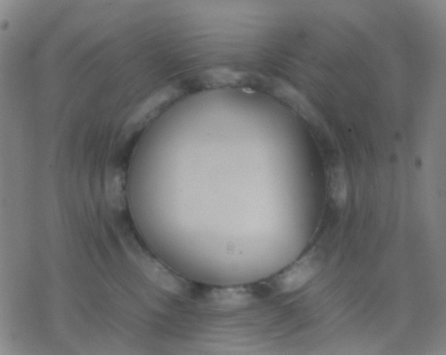 X0000074310378200609081948