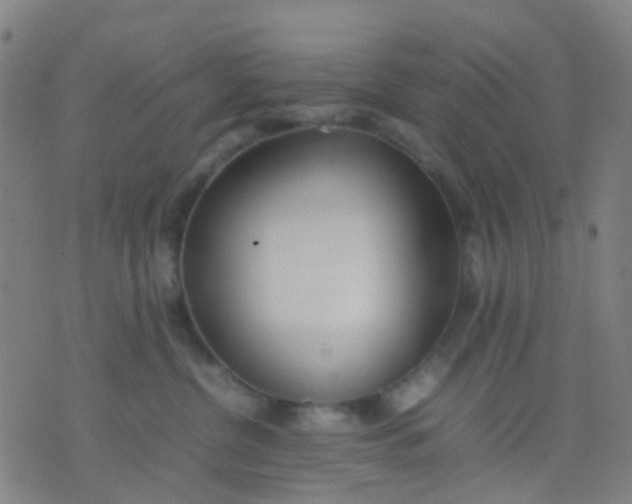 X0000074310380200609081948