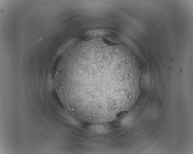 X0000074310381200609081948