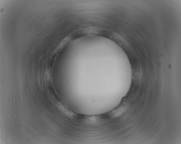 X0000074310382200609081948