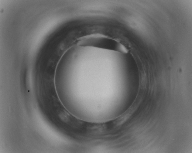 X0000074310383200609081948