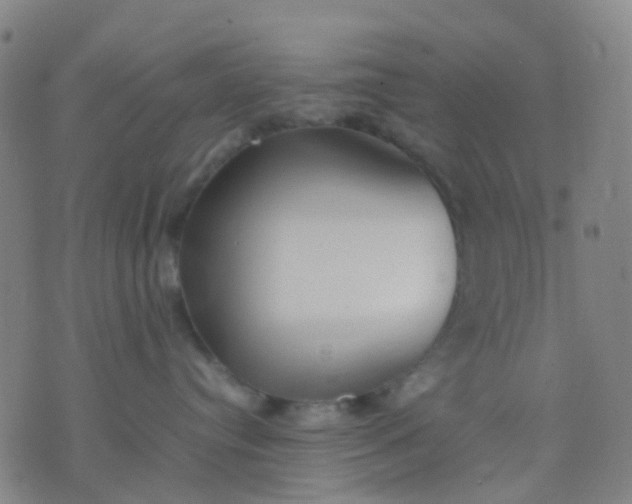 X0000074310384200609081948