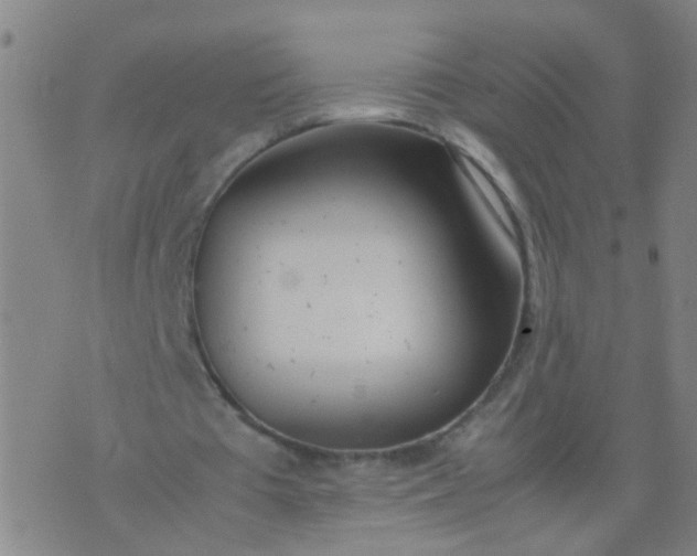 X0000074310385200609081947