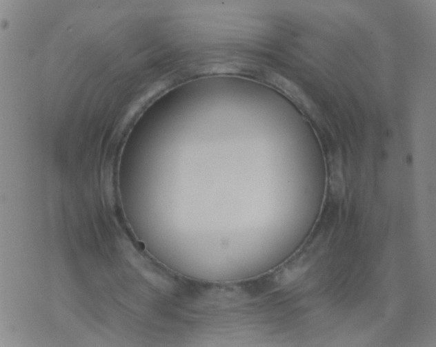 X0000074310386200609081947