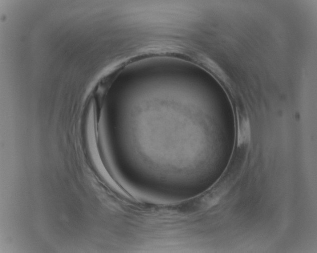 X0000074310387200609081947