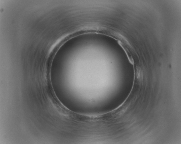 X0000074310388200609081947