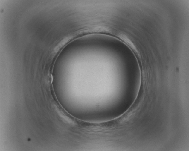 X0000074310389200609081947