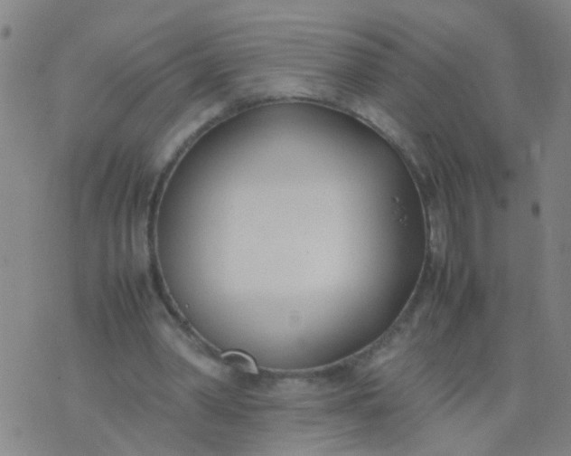 X0000074310390200609081947