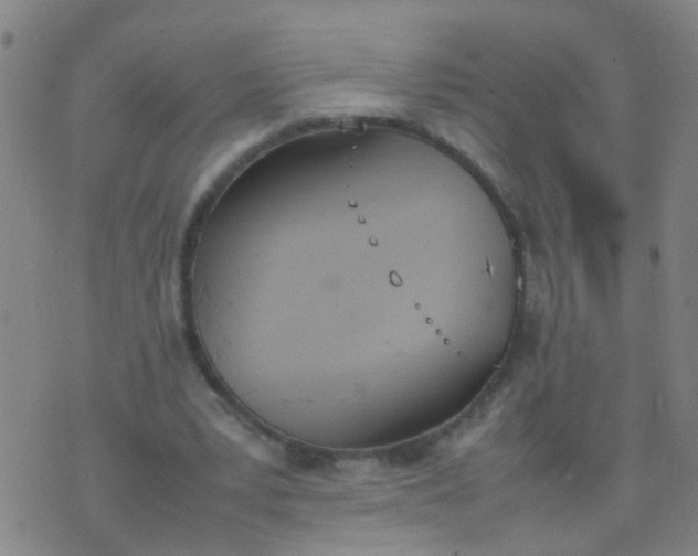 X0000074310391200609081947