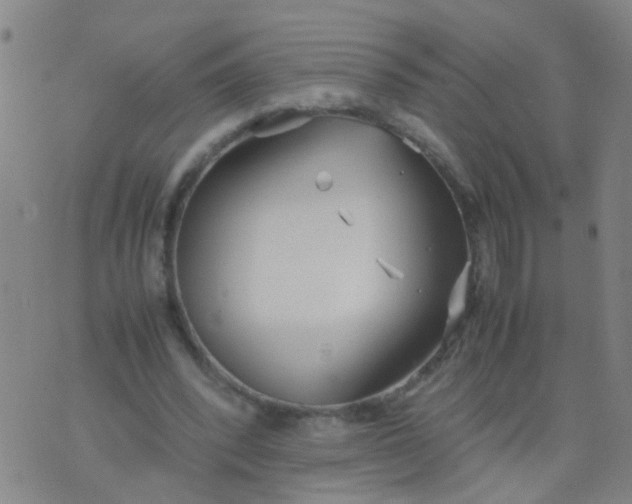 X0000074310392200609081947