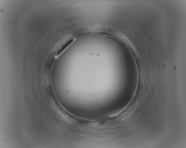 X0000074310393200609081947