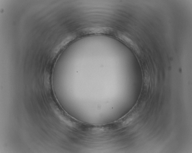 X0000074310394200609081947