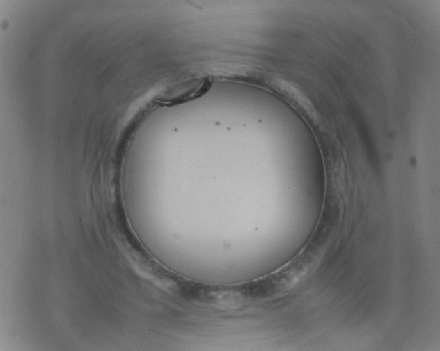 X0000074310395200609081947