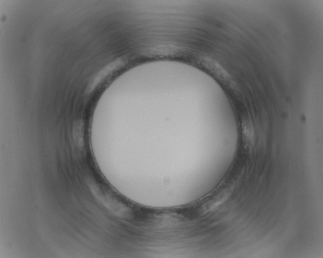 X0000074310396200609081947