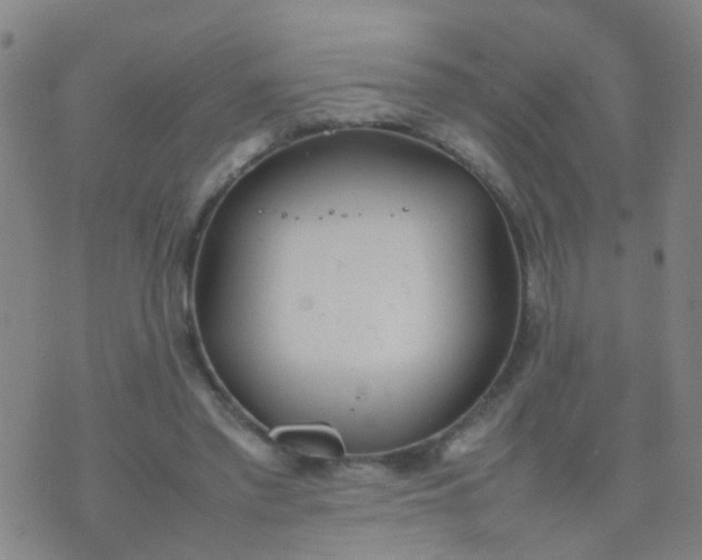 X0000074310397200609081947