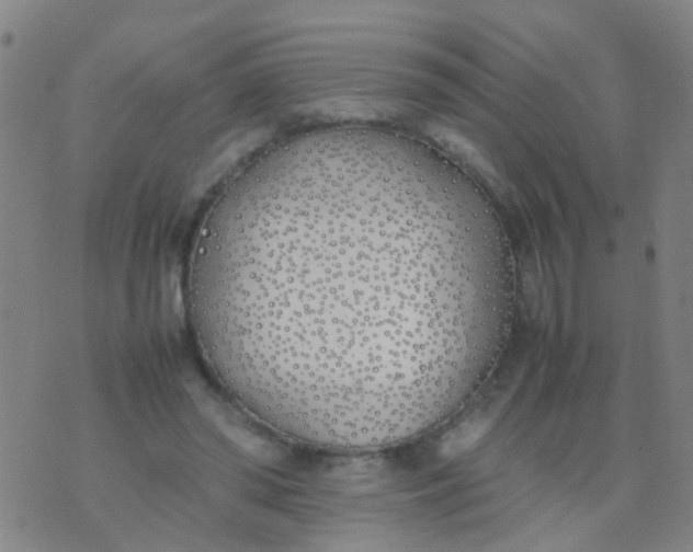 X0000074310398200609081947