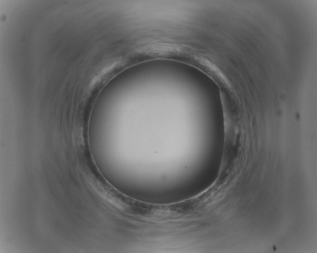 X0000074310399200609081947