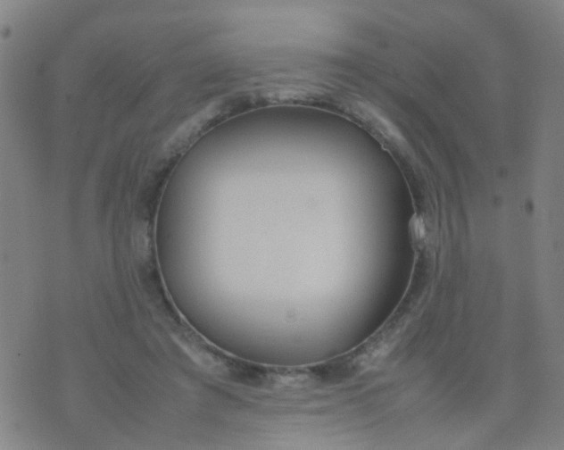 X0000074310401200609081947