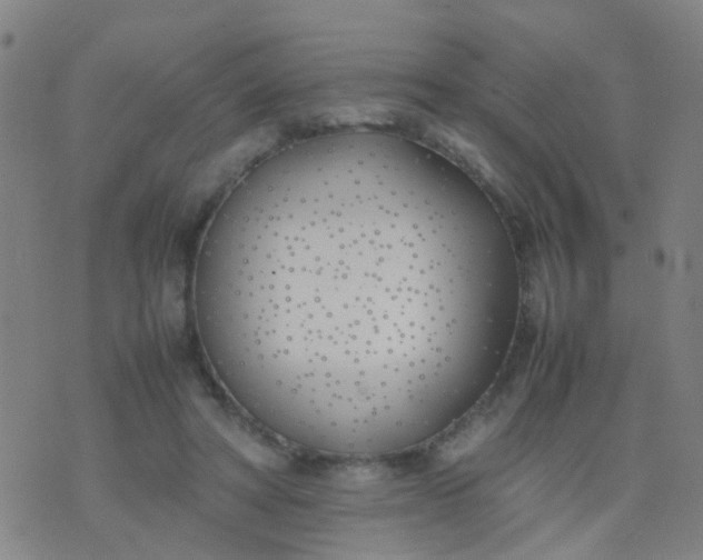 X0000074310402200609081947