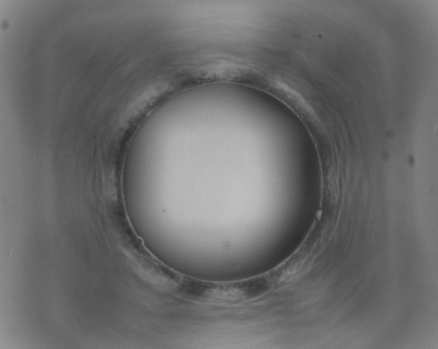 X0000074310403200609081947