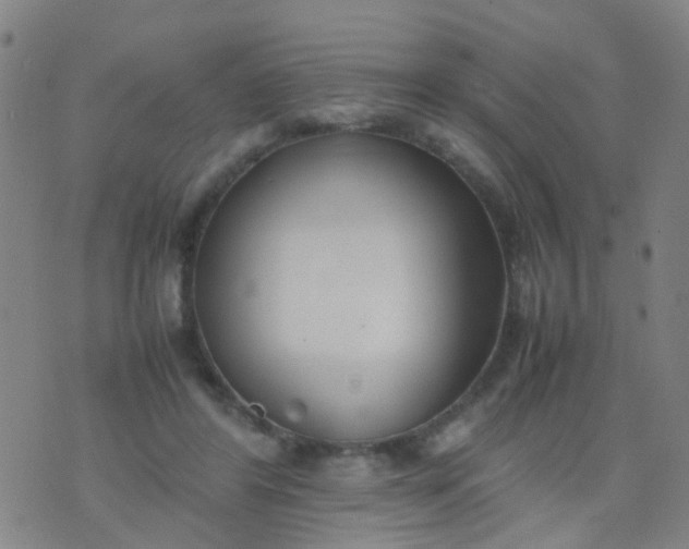 X0000074310404200609081947