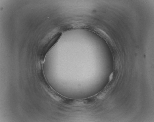 X0000074310405200609081947