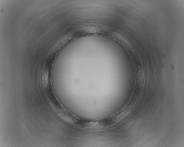 X0000074310406200609081947