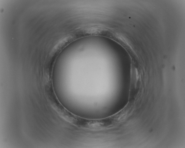 X0000074310407200609081947